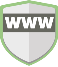 Online Fraud Detection Icon Image