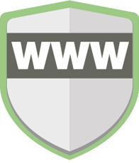 Online Fraud Detection icon image